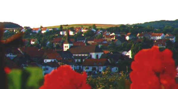 alsw.jpg (54082 Byte)