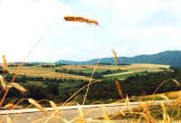 land1.jpg (40237 Byte)