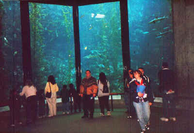 aquarium.jpg (40854 Byte)