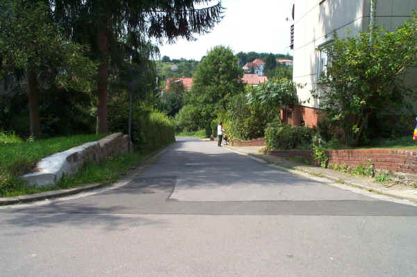 DCP_0753.JPG
