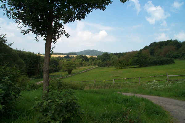 DCP_0758.JPG