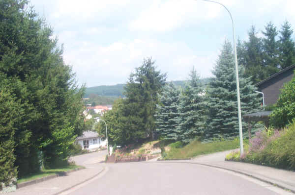 ./DCP_0884.JPG