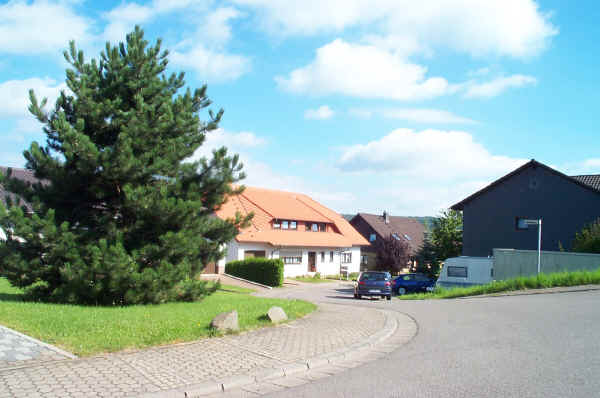 DCP_0931.JPG