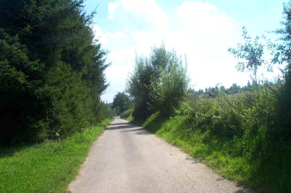 ./DCP_1005.JPG