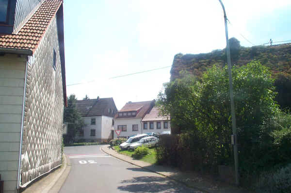 ./DCP_1016.JPG
