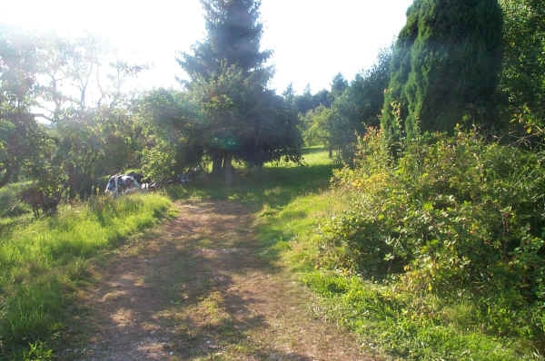 ./DCP_1158.JPG