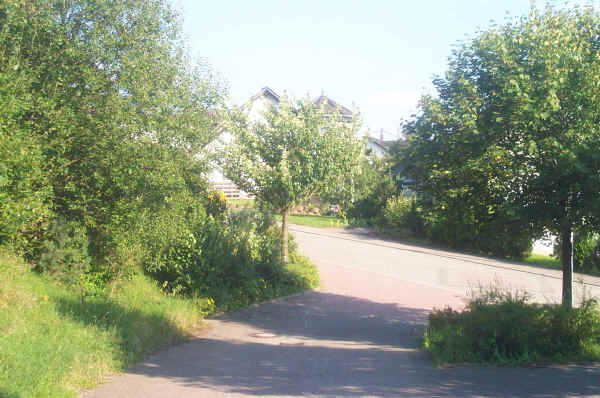 ./DCP_1163.JPG