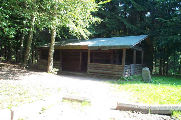 DCP_0701.JPG