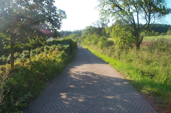 DCP_1189.JPG