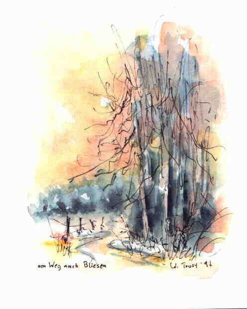 bliesen.jpg (22355 Byte)