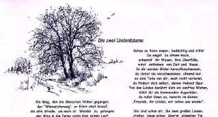 lindenbaeume8.jpg (423240 Byte)