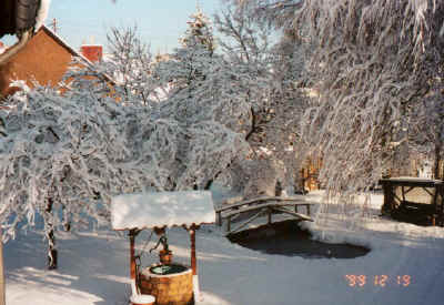 garteenwinter2.jpg (71437 Byte)